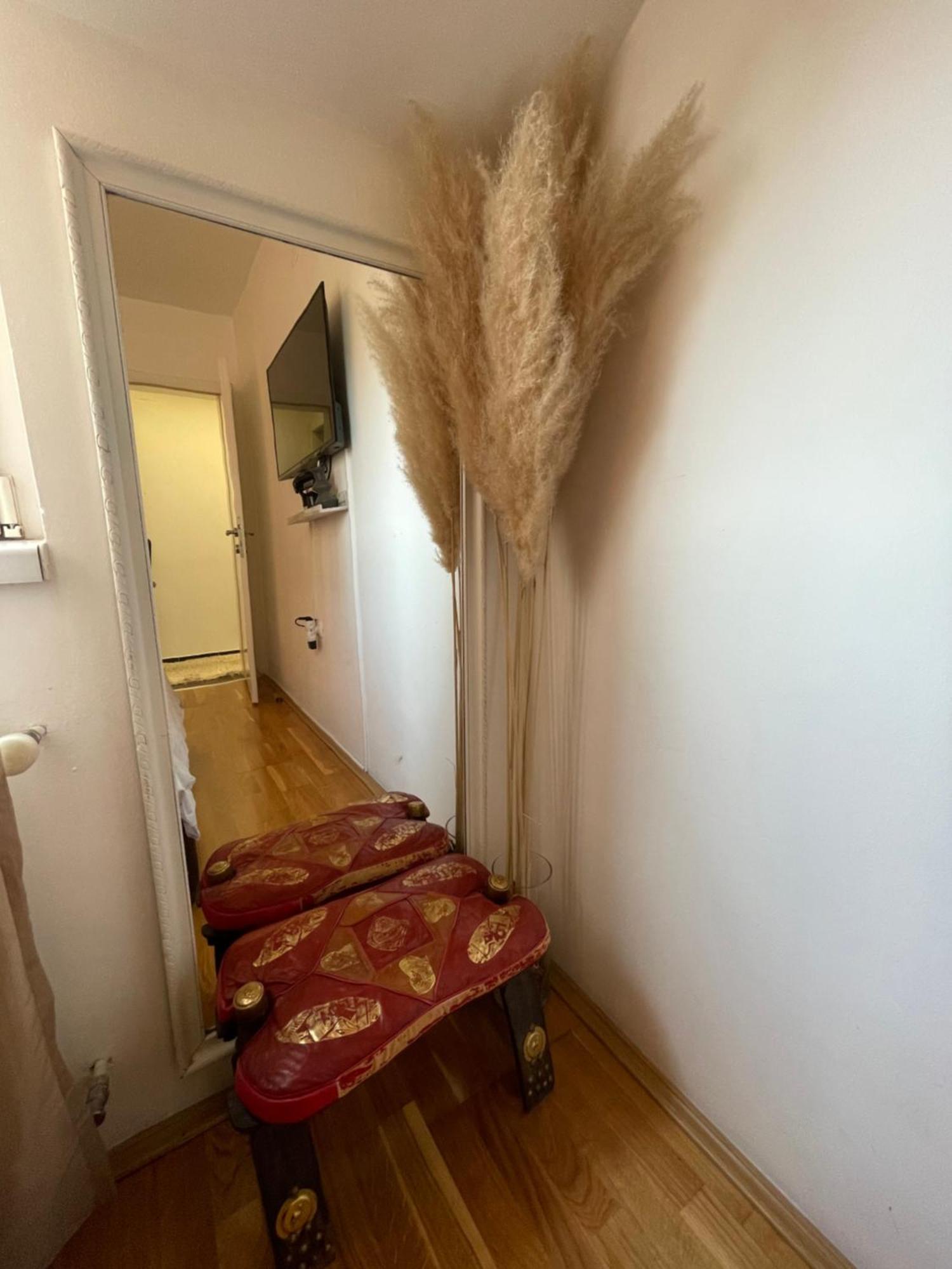 Kruševac Charme Apartman מראה חיצוני תמונה